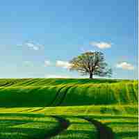 接​口​测‌试‍代﻿码‌怎‍么‌写‍